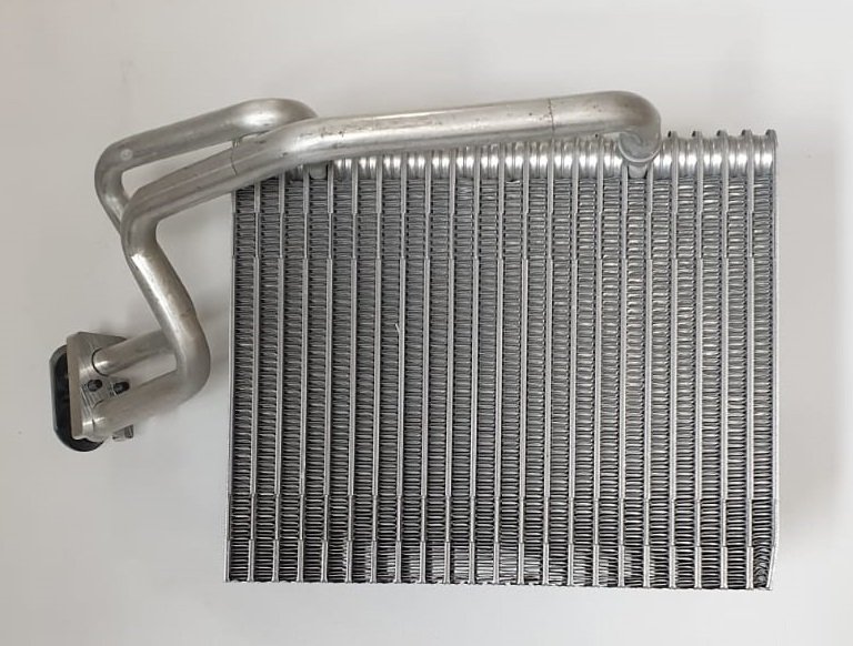 EV354006 RENAULT CLİO